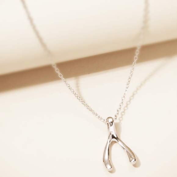 🍀 Style & Glamour Silver Lucky Wishbone Pendant Necklace - New With Tags - Picture 3 of 7